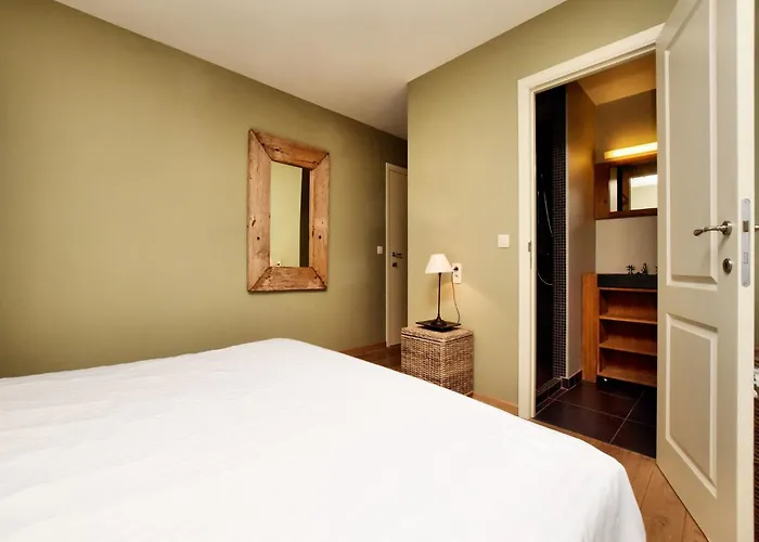 Durbuy Luxe With Pool Willa *