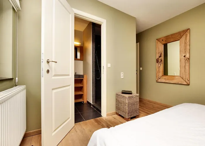 Durbuy Luxe With Pool Willa *